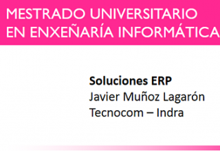 Actividades del MUEI:  Soluciones ERP